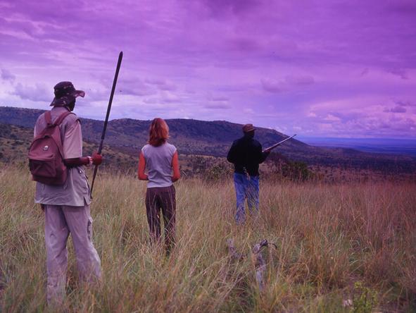 Siana Springs Tented Camp - Walking Safari 